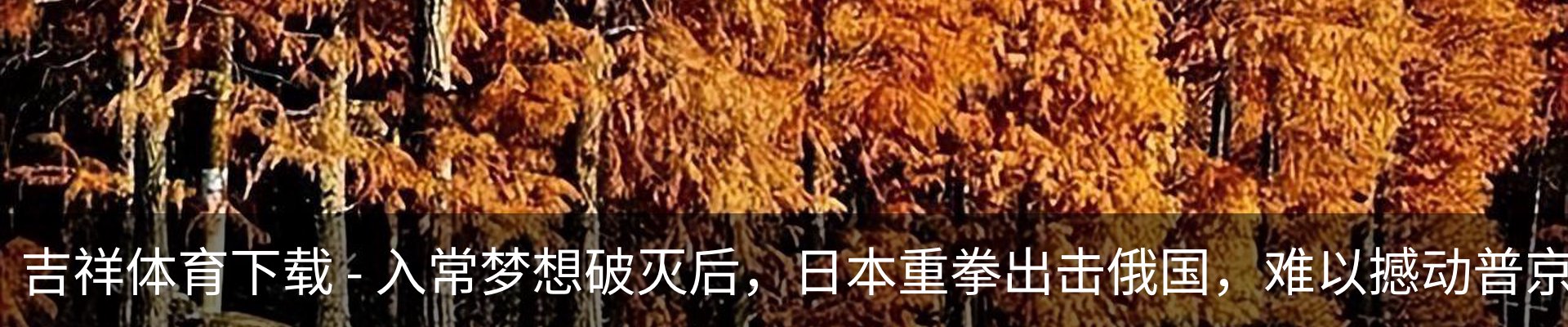最新动态